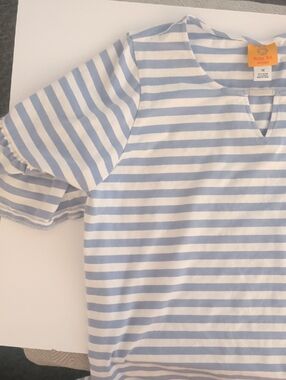 Ruby red blue white stripe shirt